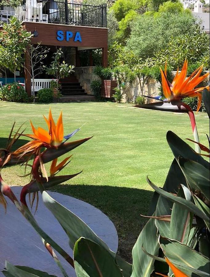 Liona Hotel & Spa Gundogan  Ngoại thất bức ảnh